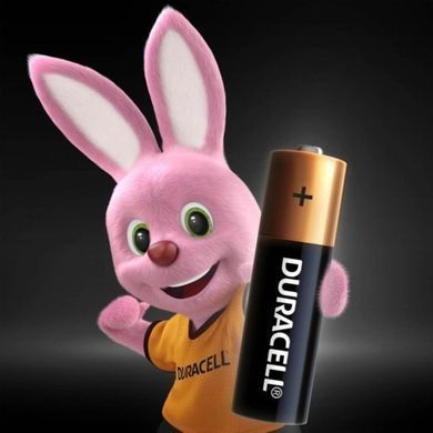 Щелочные батарейки Duracell Simply Alkaline LR03 AAA 1.5V 2 шт. DUR-SMPL-AAA-2 фото Orkov.net