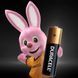 Щелочные батарейки Duracell Simply Alkaline LR03 AAA 1.5V 2 шт. DUR-SMPL-AAA-2 фото Orkov.net 2/3