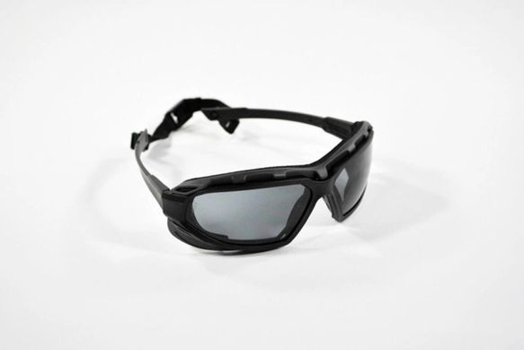 Захисні окуляри Pyramex Highlander Plus (gray) SBG5020DT фото Orkov.net