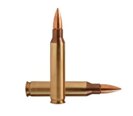 Патрон GGG .223 Rem FMJ 62gr Золотой GGG-223Rem-62g-FMJ фото Orkov.net